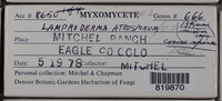 Image Associated With the Occurence